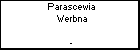 Parascewia Werbna