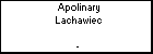 Apolinary Lachawiec