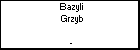 Bazyli Grzyb