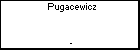 Pugacewicz 